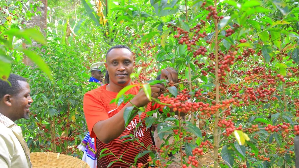 607964262_878390644799004_60052122127412467_n