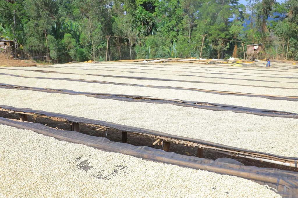 608430252_878381048133297_2361458741913780215_n