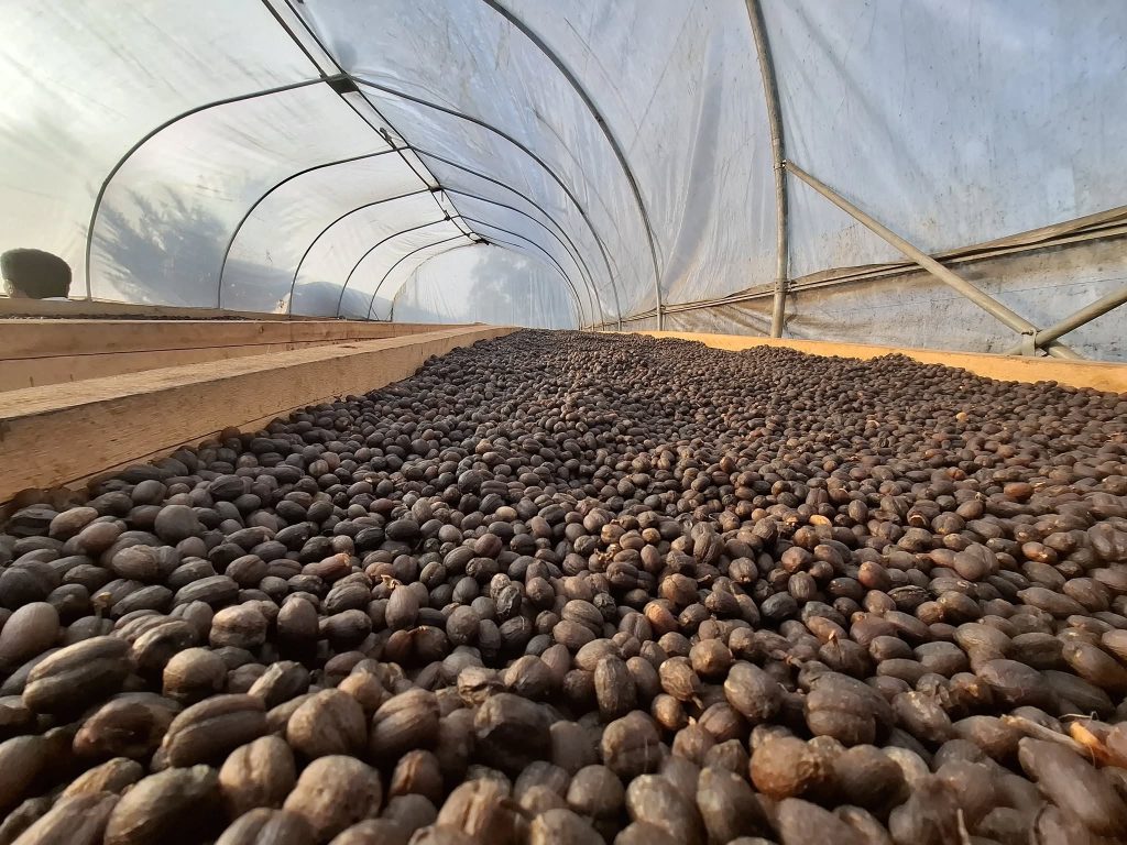 610757789_880618337909568_7649618950210124114_n